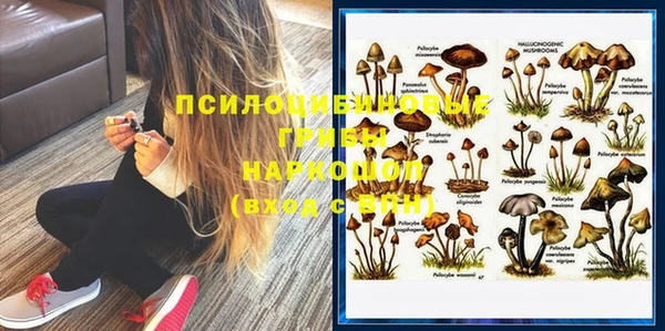 spice Алзамай